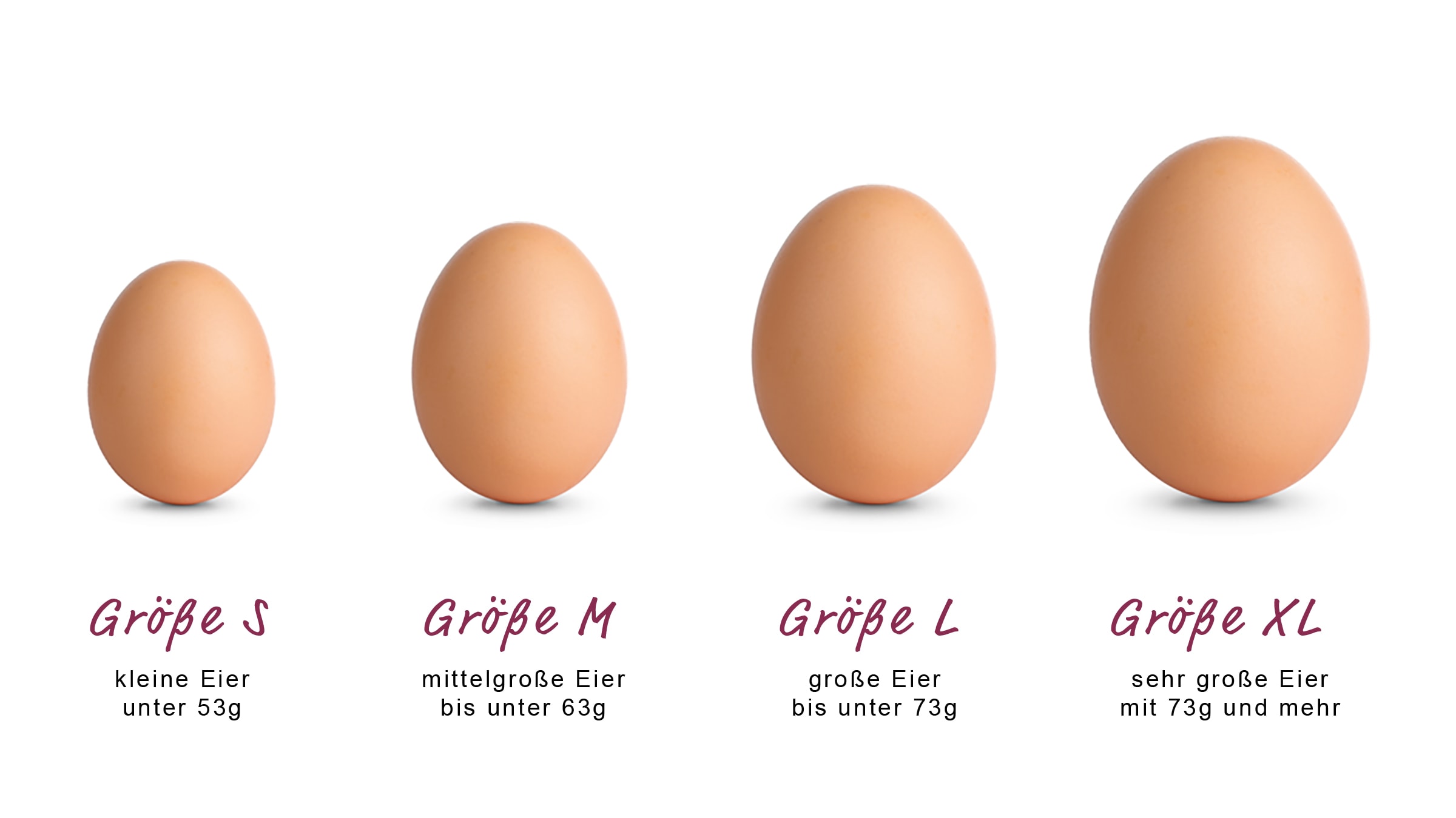 Eiergrößen erklärt