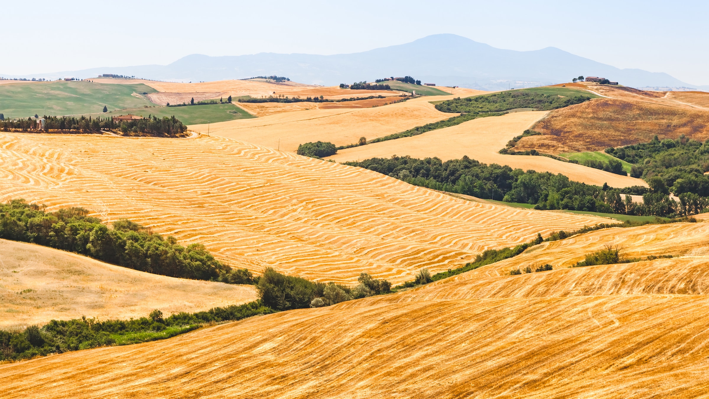 Macchia