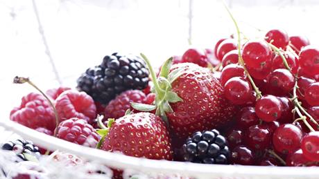 Beerenvielfalt: Johannisbeeren, Erdbeeren, Brombeere, Himbeeren