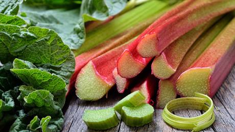 Rhabarberstangen sind das erste Obst im Frühjahr