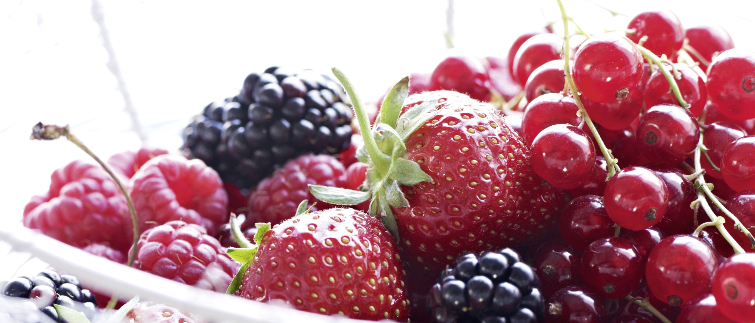 Beerenvielfalt, Himbeeren, Johannisbeeren, Brombeeren
