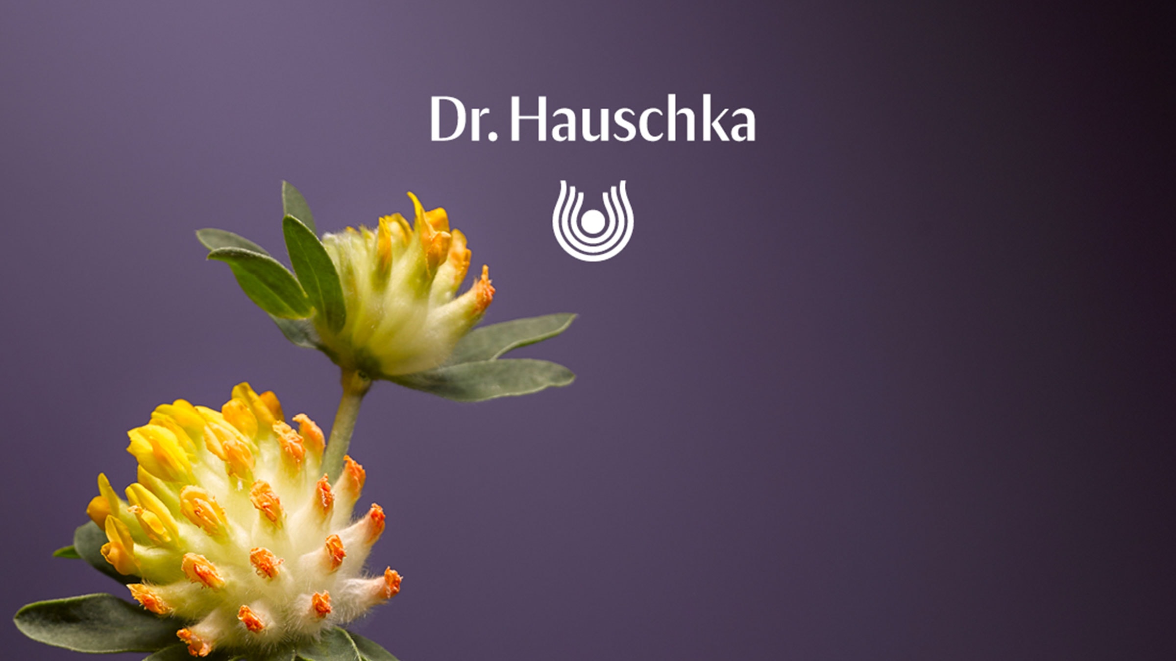 Dr. Hauschka Gesichtspflege