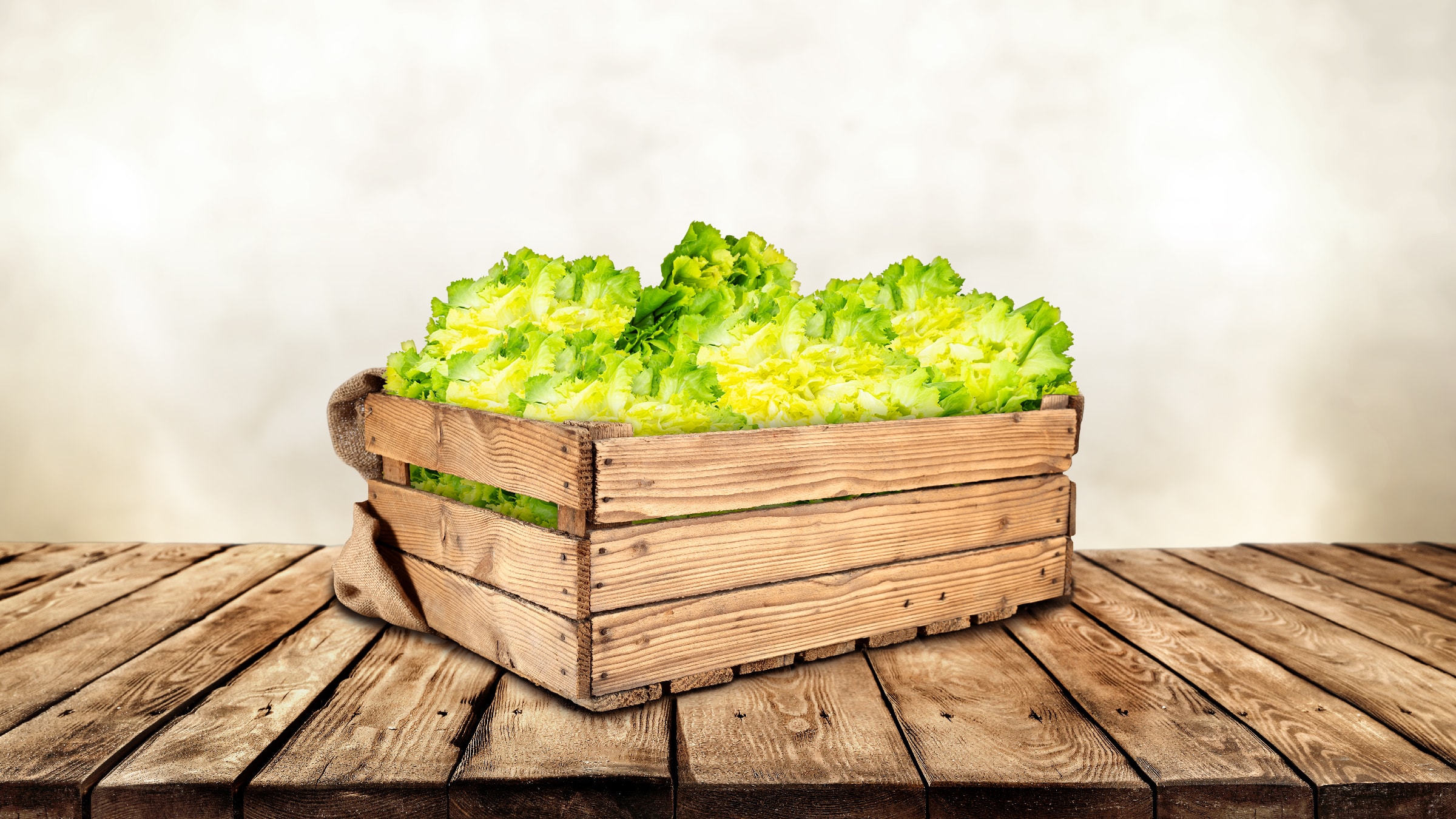Endivien Saison: Wann hat Endiviensalat Saison?