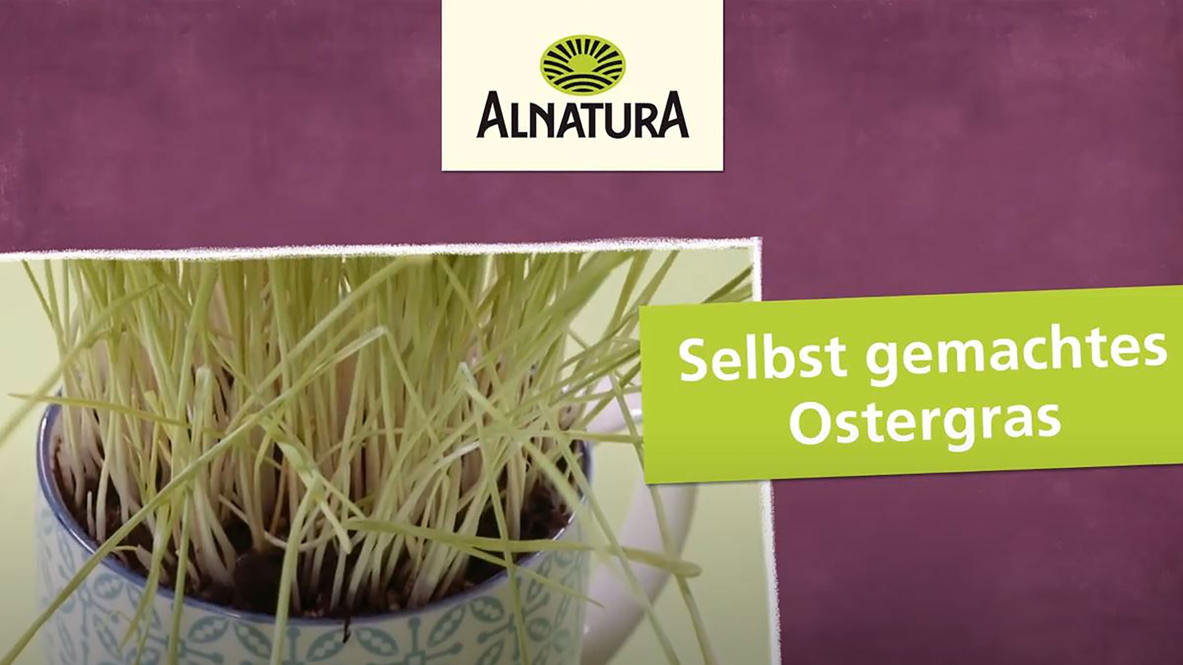 Video Startbild: Es ist ein Bild mit Ostergras in einem Topf zu sehen. In einer Überschrift ist folgender Text zu lesen: Selbst gemachtes Ostergras